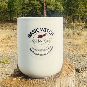 BASIC WITCH